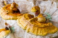 Reishi